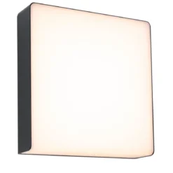 Paulmann 94842 LED Aussenwandleuchte Smart Home Zigbee Azalena IP44 tunable warm