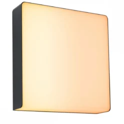 Paulmann 94842 LED Aussenwandleuchte Smart Home Zigbee Azalena IP44 tunable warm