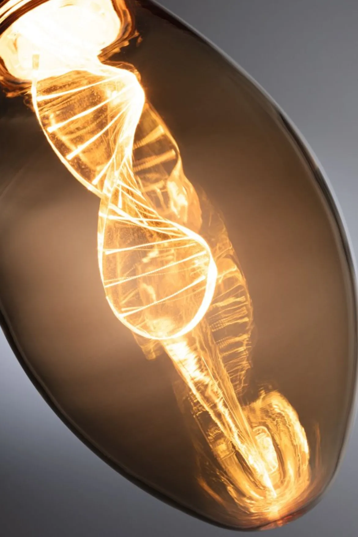 Paulmann 28884 LED Birne Helix E27 Inner Glow Edition 1800K Gold