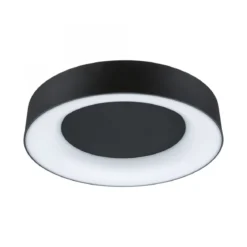 Paulmann 71097 LED Deckenleuchte Casca Schwarz IP44 White Switch 40cm