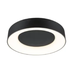 Paulmann 71097 LED Deckenleuchte Casca Schwarz IP44 White Switch 40cm