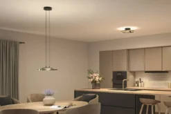 Paulmann 94927 LED Deckenleuchte Melira 2700K 3-Step-Dim Schwarz Gold