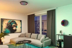 Paulmann 71056 LED Deckenleuchte Spaceglow One RGB Tunable White dimmbar schwarz
