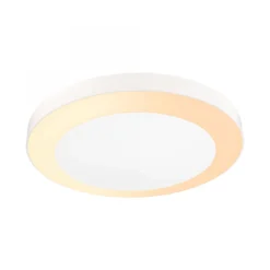 Paulmann 94527 LED Deckenleuchte Smart Home Zigbee Circula Dämmerungssensor weiß