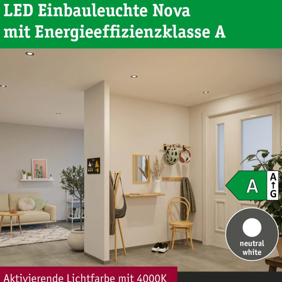 Paulmann 92454 LED Einbauleuchte Nova Coin Einzelleuchte rund 4000K Eisen