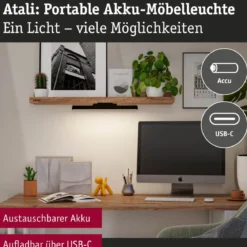 Paulmann 92267 LED Mobile Möbelaufbauleuchte Atali 4000K dimmbar Schwarz