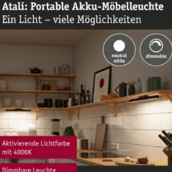 Paulmann 92267 LED Mobile Möbelaufbauleuchte Atali 4000K dimmbar Schwarz
