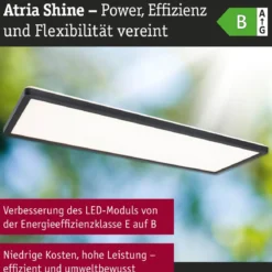Paulmann 71313 LED Panel Atria Shine 560x200mm 3000-6500K Schwarz IP44