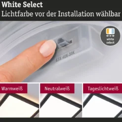 Paulmann 71313 LED Panel Atria Shine 560x200mm 3000-6500K Schwarz IP44