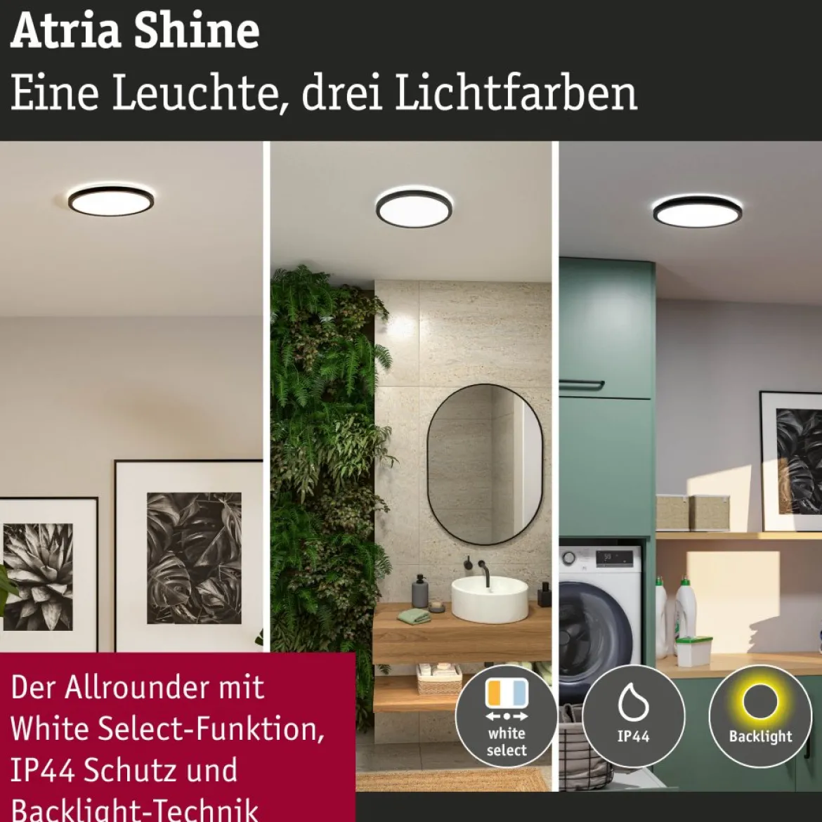 Paulmann 71276 LED Panel Atria Shine 298mm 3000-6500K Schwarz IP44