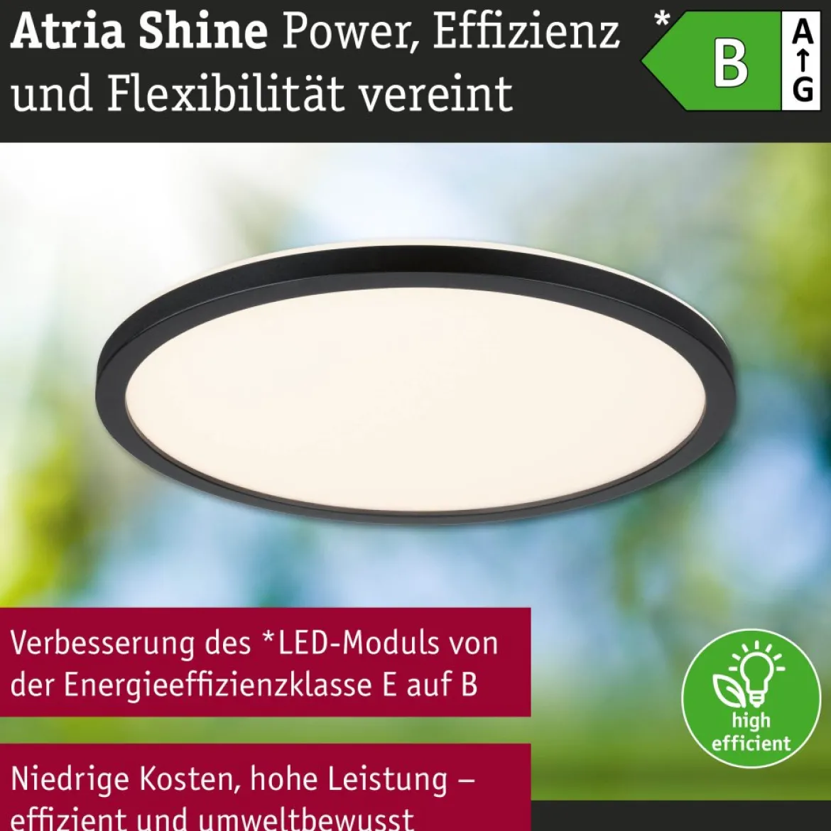 Paulmann 71276 LED Panel Atria Shine 298mm 3000-6500K Schwarz IP44