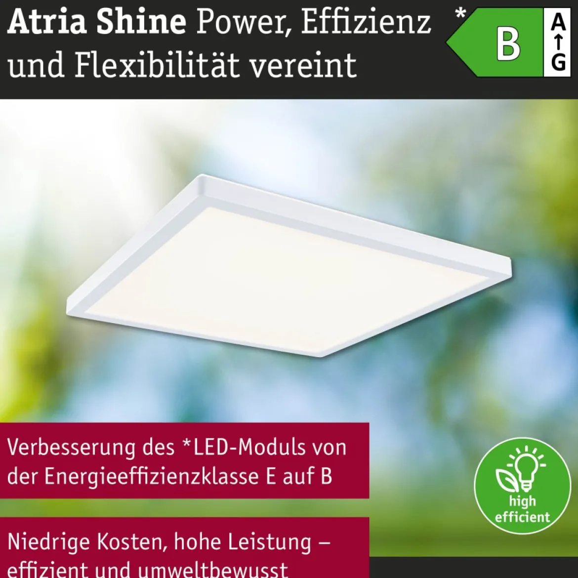 Paulmann 71255 LED Panel Atria Shine 298x298mm 3000-6500K Weiß IP44