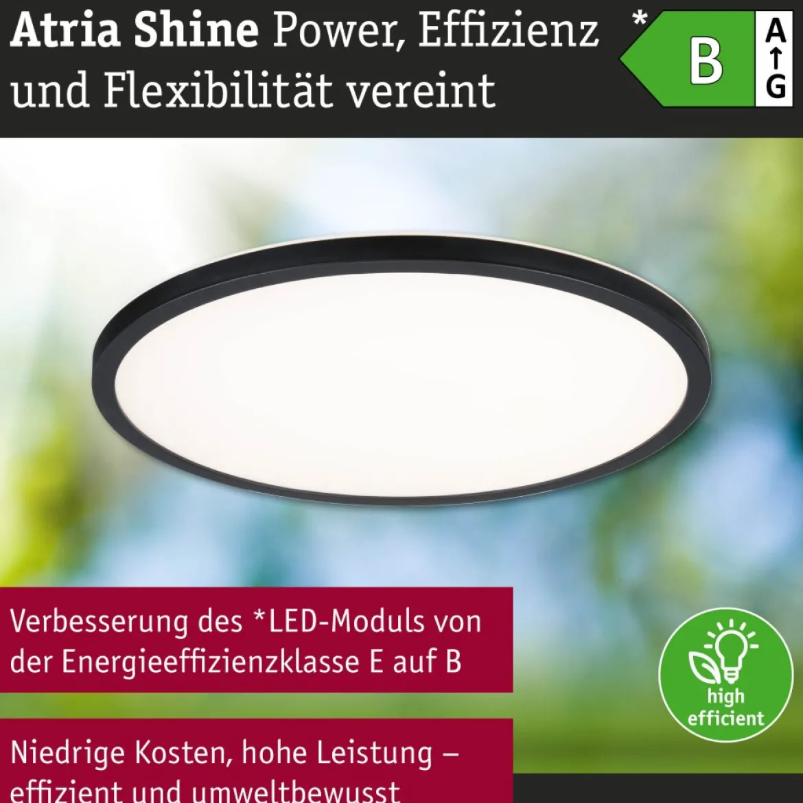 Paulmann 71258 LED Panel Atria Shine 398mm 3000-6500K Schwarz IP44