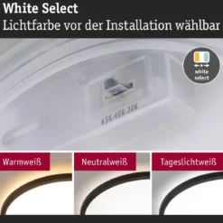 Paulmann 71258 LED Panel Atria Shine 398mm 3000-6500K Schwarz IP44