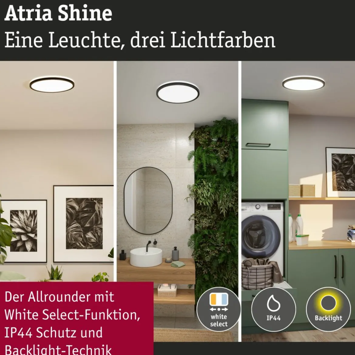 Paulmann 71258 LED Panel Atria Shine 398mm 3000-6500K Schwarz IP44