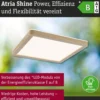 Paulmann 71268 LED Panel Atria Shine 190x190mm 3000-6500K Holzoptik IP44