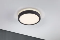 Paulmann 71053 LED Panel Cosara rund 300mm Dunkelgrau 3000K IP44