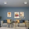 Paulmann 71055 LED Panel Cosara rund 300mm Dunkelgrau 4000K IP44
