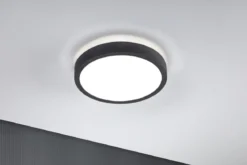 Paulmann 71055 LED Panel Cosara rund 300mm Dunkelgrau 4000K IP44