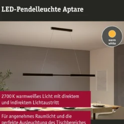 Paulmann 76989 LED Pendelleuchte Aptare Touchless Sensor 2700K Schwarz dimmbar