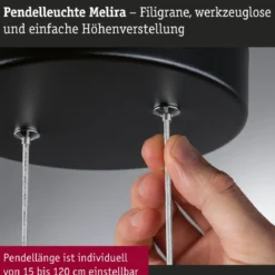Paulmann 94928 LED Pendelleuchte Melira 2700K 3-Step-Dim Schwarz Gold