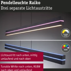 Paulmann 78474 LED Pendelleuchte Raiko RGBW Tunable White Schwarz dimmbar