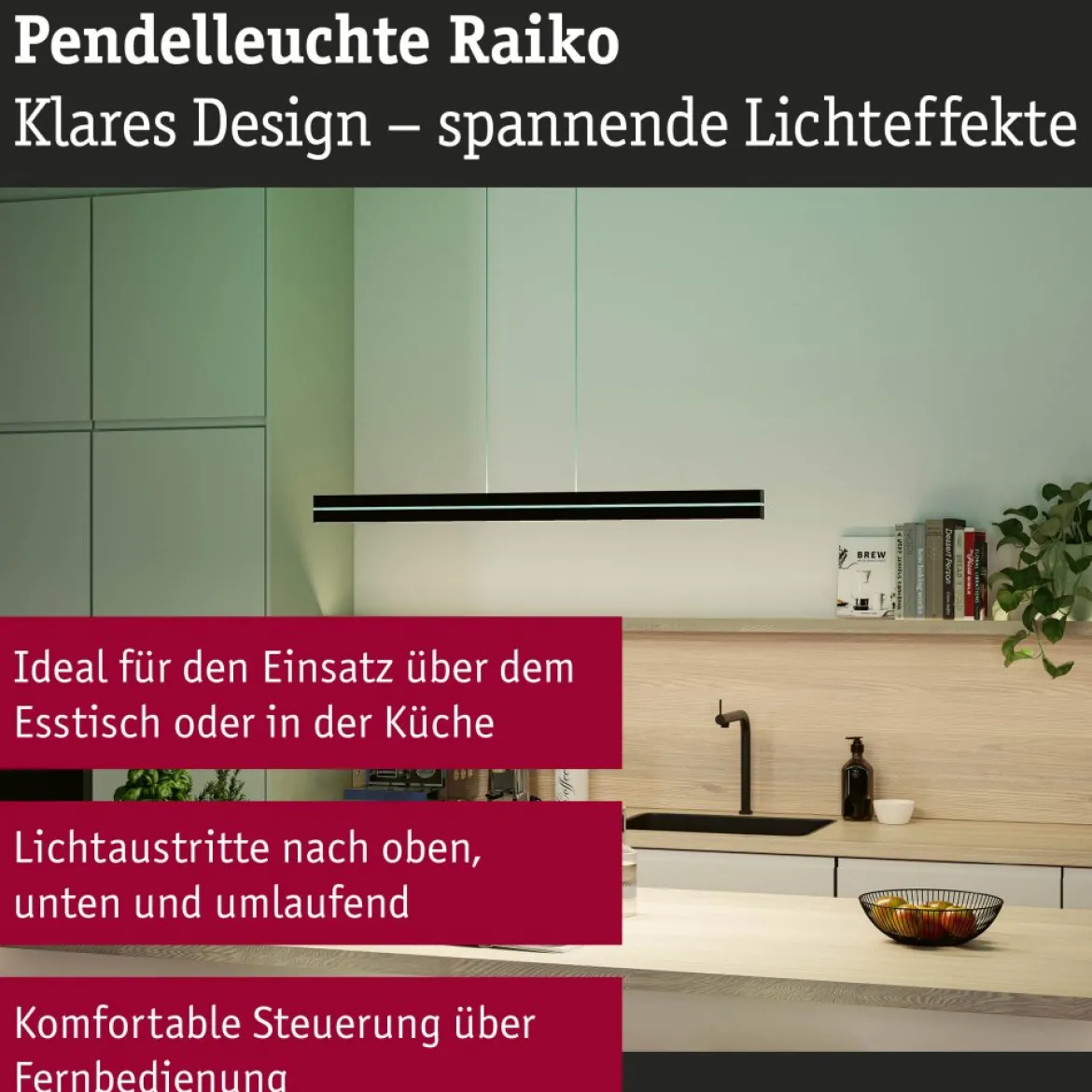 Paulmann 78474 LED Pendelleuchte Raiko RGBW Tunable White Schwarz dimmbar