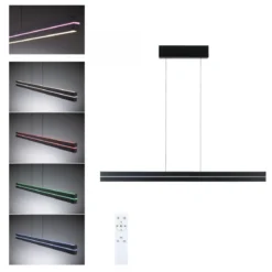 Paulmann 78474 LED Pendelleuchte Raiko RGBW Tunable White Schwarz dimmbar