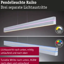 Paulmann 78475 LED Pendelleuchte Raiko RGBW Silber dimmbar