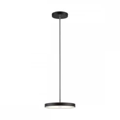 Paulmann 96777 LED Pendelleuchte Smart Home Zigbee Hildor Schwarz matt 2700K