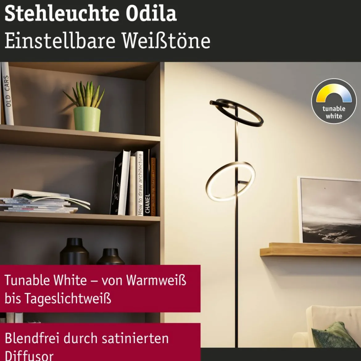 Paulmann 71279 LED Stehleuchte Odila Tunable White schwarz dimmbar