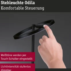 Paulmann 71279 LED Stehleuchte Odila Tunable White schwarz dimmbar