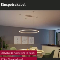 Paulmann 98189 Linion Zubehör Einspeisekabel 1,75m schwarz