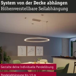 Paulmann 98188 Linion Zubehör Seilabhängung 1,5m chrom