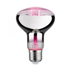 Paulmann No. 28733 LED Grow Green Pflanzenlampe R80 E27 6,5 W