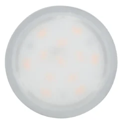 Paulmann No. 93076 LED Modul Base Coin 5W 3000K Opal