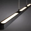 Paulmann No. 79693 LED Pendelleuchte Lento Schwarz dimmbar höhenverstellbar