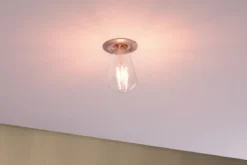 Paulmann No. 28703 LED Speziallampen 7,5 Watt E27 Klar 2700 K dimmbar