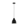 Paulmann No. 79763 Pendelleuchte Neordic Hilla 1-flammig Pflanzenleuchte schwarz E27