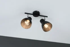Paulmann No. 66760 Strahler Davy 2-flammig E27 Schwarz max. 2x20W