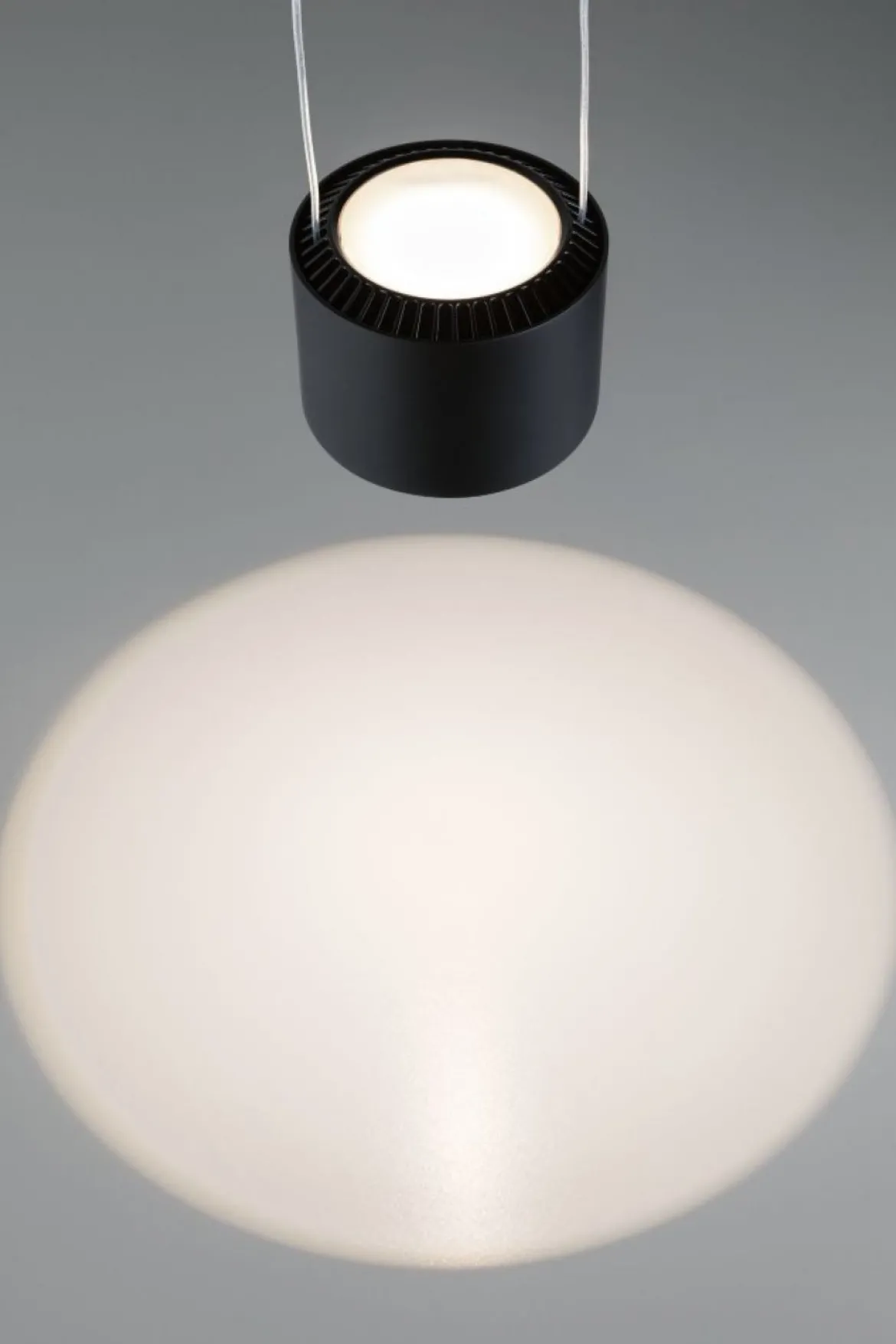 Paulmann No. 94972 URail LED Pendel Aldan 1-flammig schwarz dimmbar