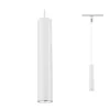 Paulmann No. 96958 URail LED-Pendel Catalejo Chrom matt weiß max. 1x10W GU10