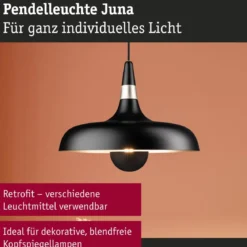 Paulmann 78481 Pendelleuchte Neordic Juna Champagner Schwarz E27