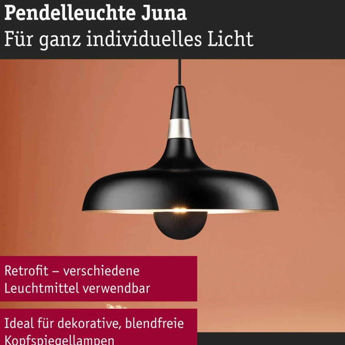 Paulmann 78481 Pendelleuchte Neordic Juna Champagner Schwarz E27