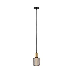 Paulmann 71134 Pendelleuchte Ravi E27 schwarz matt gold IP44
