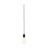 Paulmann 78436 Pendelleuchte Tilla E27 max. 20W inkl. Stecker Schwarz