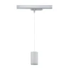 Paulmann 96606 ProRail3 LED Schienenpendel Kratos 3000K 2000lm Silber