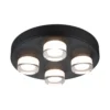 Paulmann 79558 Selection Bathroom LED Deckenleuchte Kame 3000K Schwarz IP44