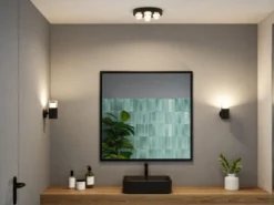 Paulmann 79558 Selection Bathroom LED Deckenleuchte Kame 3000K Schwarz IP44