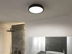 Paulmann 71084 Selection Bathroom LED Deckenleuchte Oka IP44 White Switch Schwarz matt